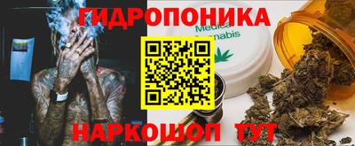 мдпв Рузаевка
