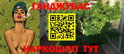 мдпв Рузаевка