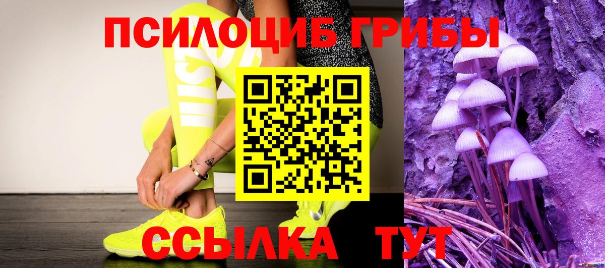 Псилоцибиновые грибы мицелий Омск