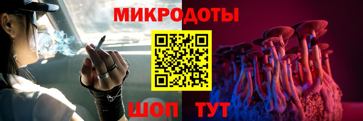 Омск  Псилоцибиновые грибы Psilocybine cubensis  закладки  Вход с VPN 