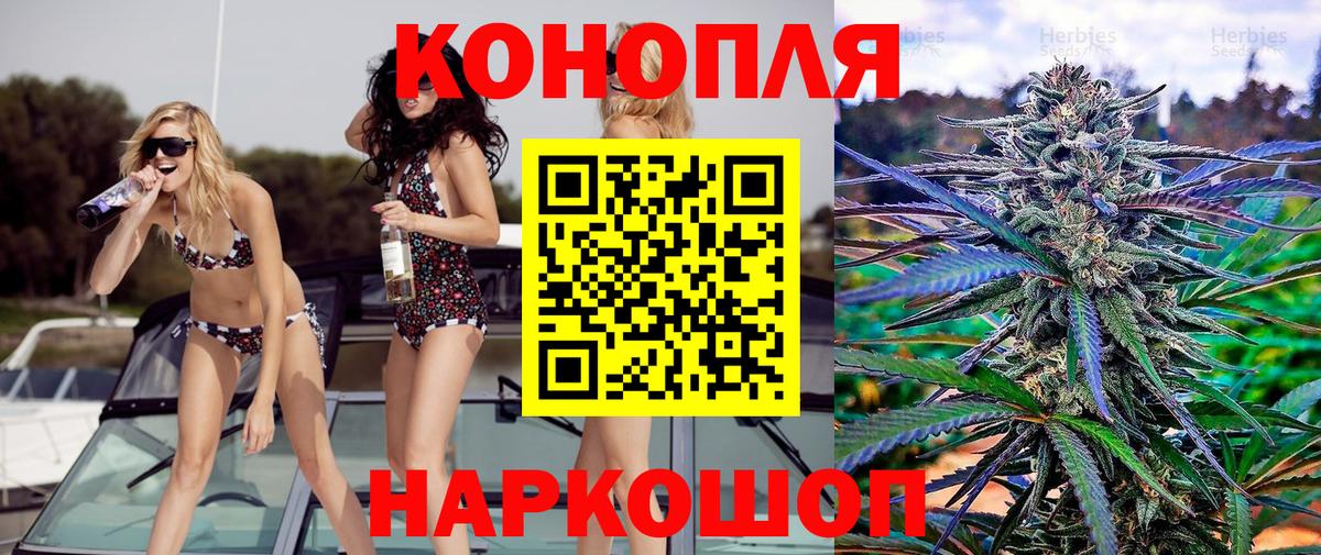 Каннабис индика  Бошки марихуана сатива  Бошки марихуана OG Kush  Вход с VPN  Омск 